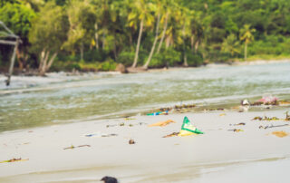 Asbestos Mold Remediation South Carolina Floods