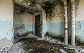 Full-Scale Demolition Over Renovation