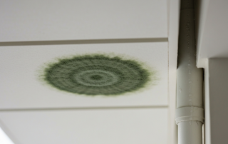 Commercial Mold Prevention Charlotte NC