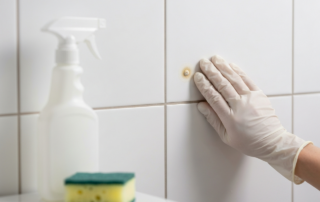 Small Mold Area Cleanup Tips