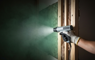 mold inspection before renovation